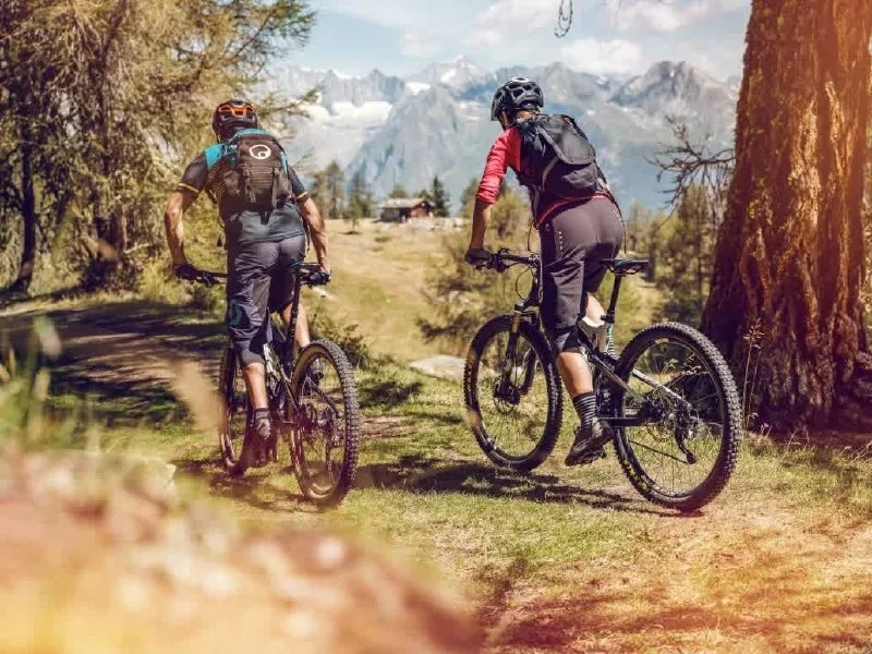 Zwei Mountainbiker auf Alpenpfad mit dramatischer Bergkulisse im Wallis